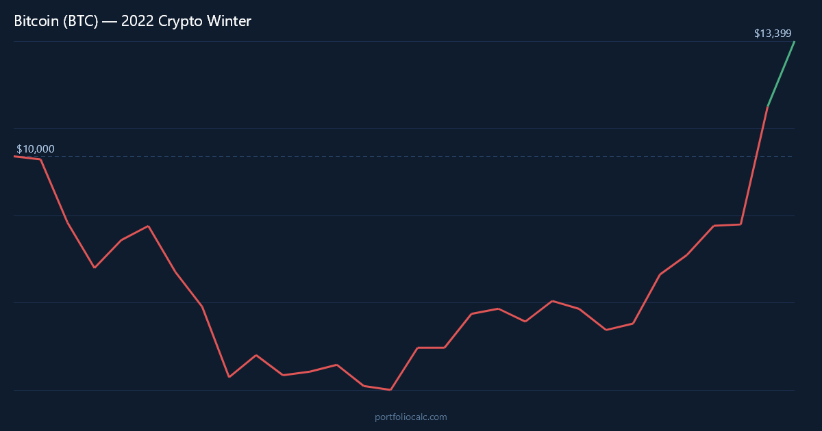 What If You Invested $10,000 in Bitcoin Before the 2022 Crypto Winter?